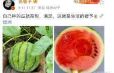 娱乐圈吃瓜是什么,揭秘明星背后的故事与真相